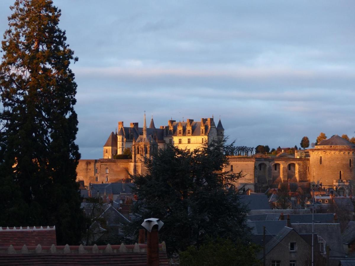 Maison Centre Ville Avec Parking, Jardin, Vue, Ac, Le Point De Vue De Leonard Amboise Luaran gambar